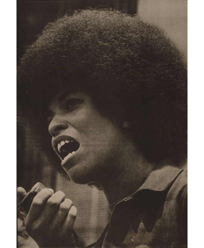 Angela Davis born in Birmingham, Alabama