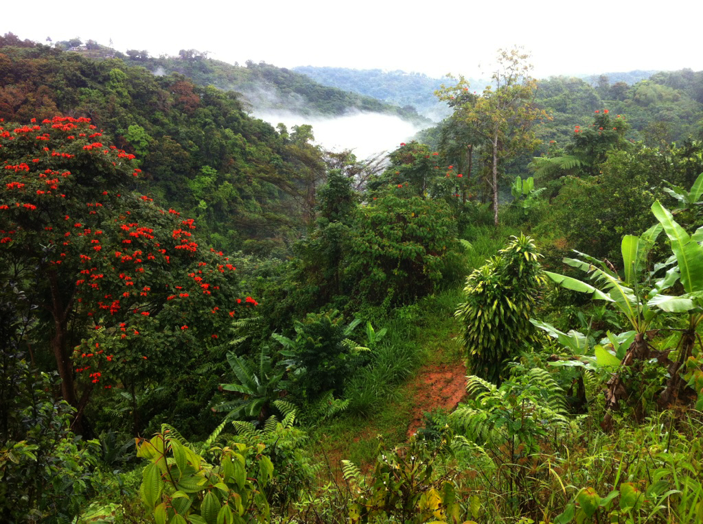 Jayuya Uprising of Puerto Rican Nationalist Party