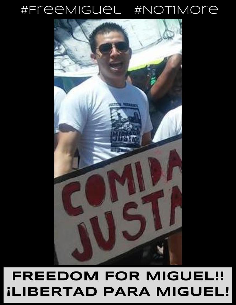 Miguel Alcudia Gamas