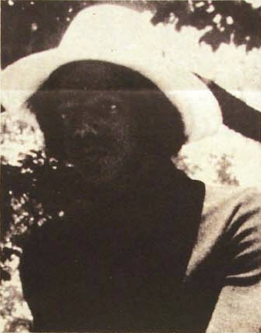 Artie Adanandus
