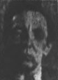 Fred Wermann