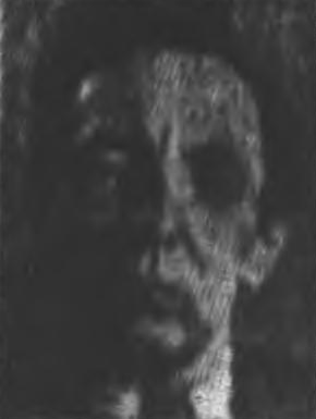 Fred Werrmann