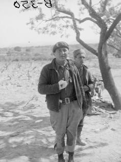 Joseph Brandt