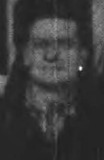 Warren Beavert