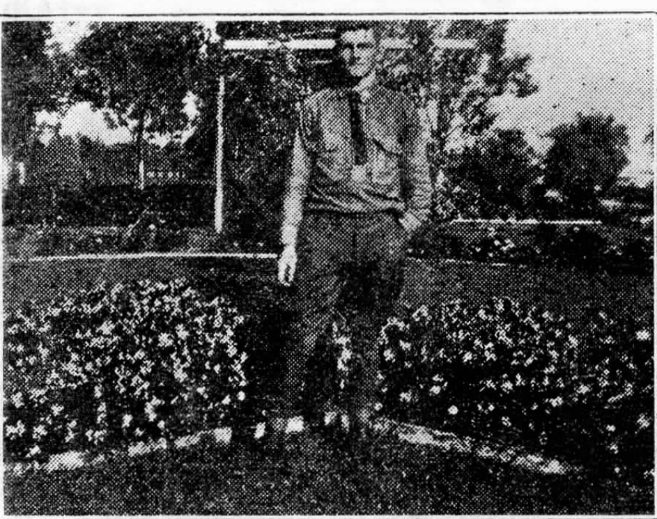 Roderick P. Nadeau